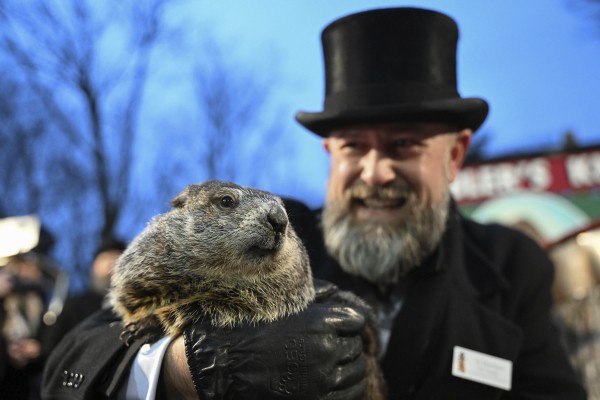 Punxsutawney Phil, The Spring-predicting Groundhog, And... | AccessWDUN.com