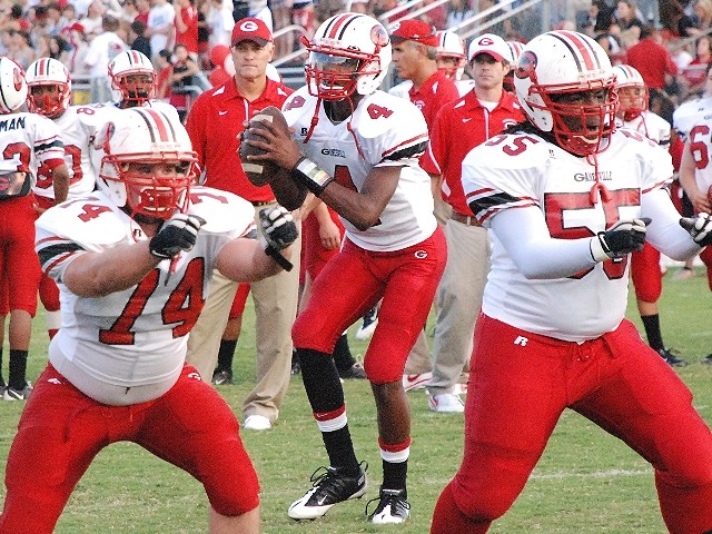 Deshaun Watson Gainesville High School Jersey