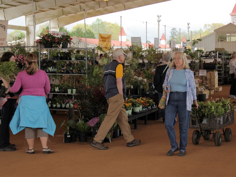 VIDEO Hall County Master Gardener Expo