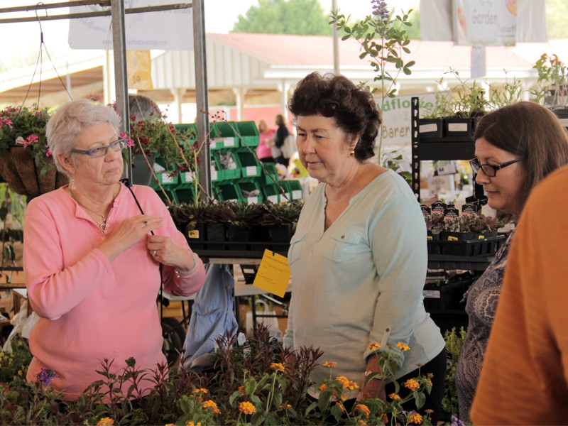 VIDEO Hall County Master Gardener Expo