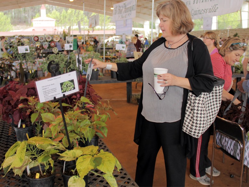 VIDEO Hall County Master Gardener Expo