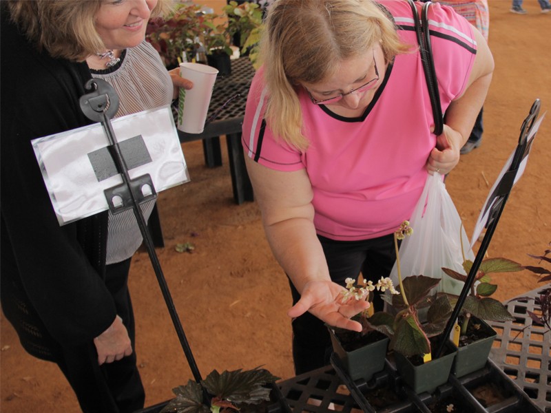 VIDEO Hall County Master Gardener Expo