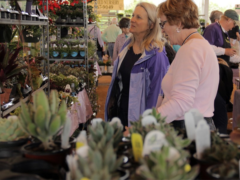 VIDEO Hall County Master Gardener Expo