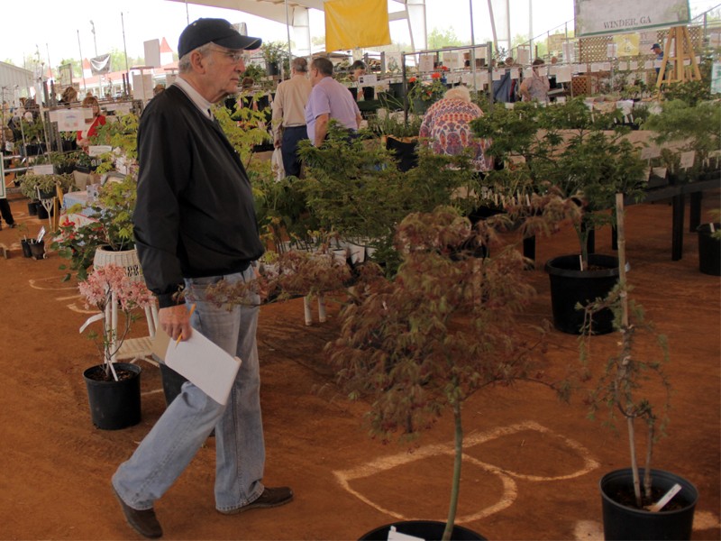 VIDEO Hall County Master Gardener Expo