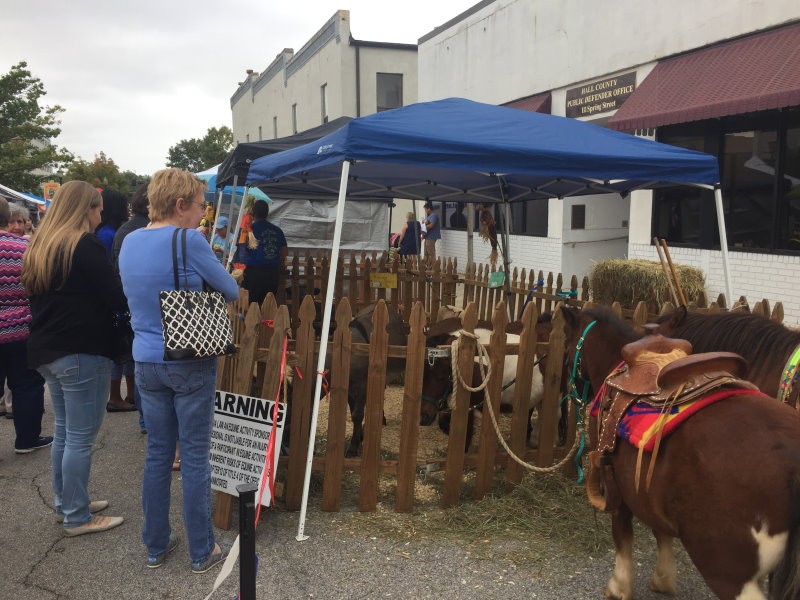 PHOTOS Mule Camp Market takes over Gainesville Square