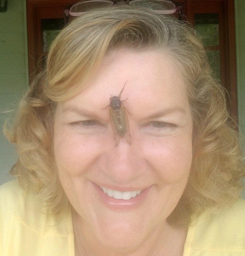 Cicada Brood X begins to emerge in North Georgia