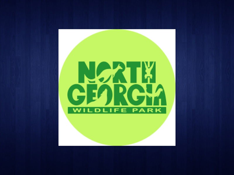 north ga wildlife safari